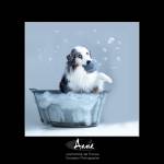 Anne WURTHLIN - PHOTO GRAPH